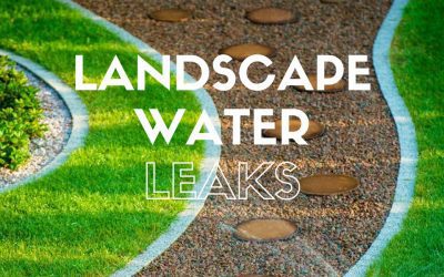 Landscape Water Leaks