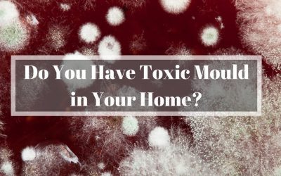 Toxic Mould – How Safe Is Your Home?
