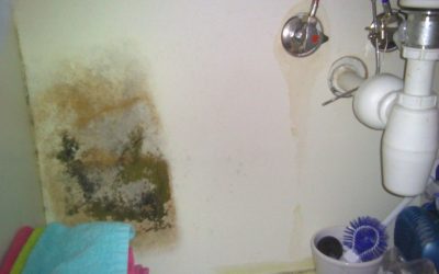 How to Tell if You Have a Leak?