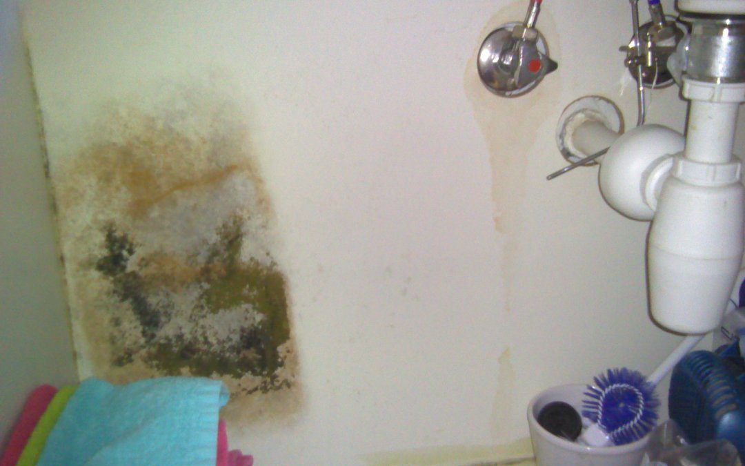 how to tell if you have a leak how to tell if you have a leak