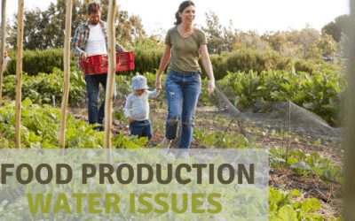 Agriculture and Associated Water Usage