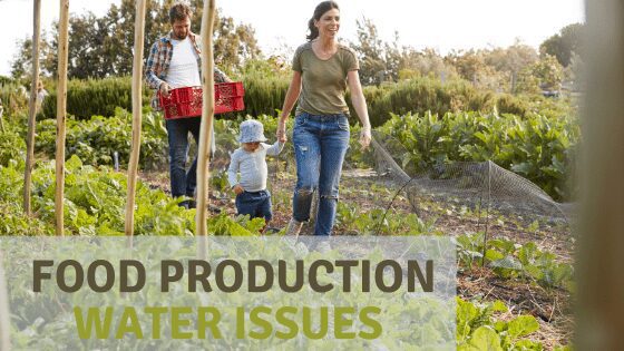 Food_production_water_issues_LeakDtech_Dubai Agriculture and food production water leaks