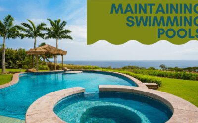 Swimming Pool Maintenance