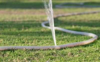 Saving Water Outside the Home