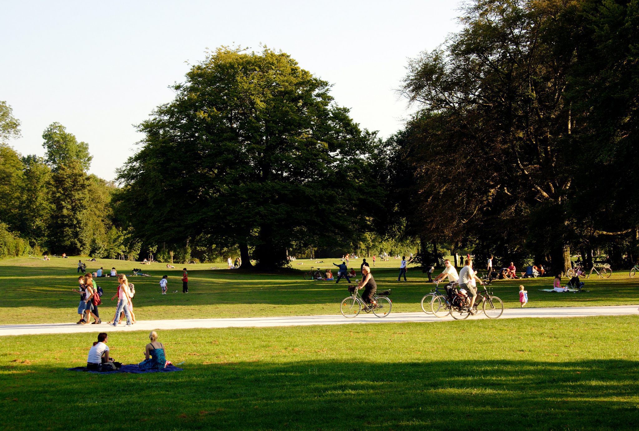 Public Park Leaks