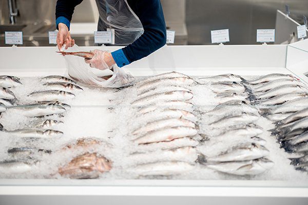 Fish Counter leaks
