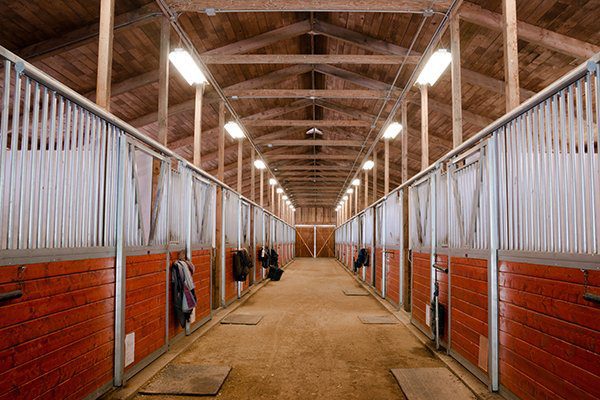 Water Leaks in Horse Stables and Polo Clubs