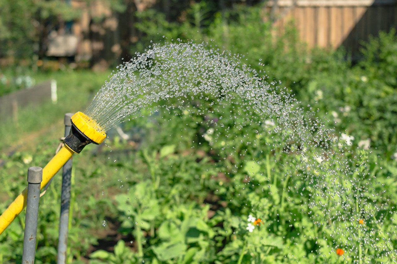 Water spray in garden Spray of water from a garden hose indicating water usage or irrigation flow.