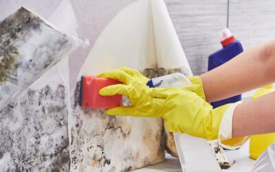 Navigating the Perils of Dubai Property Investment Challenges