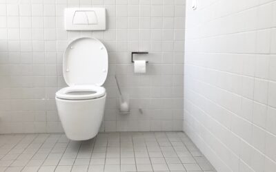 Understanding And Fixing Toilet Leaks