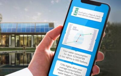 DEWA High Water Usage Alarms: What To Do