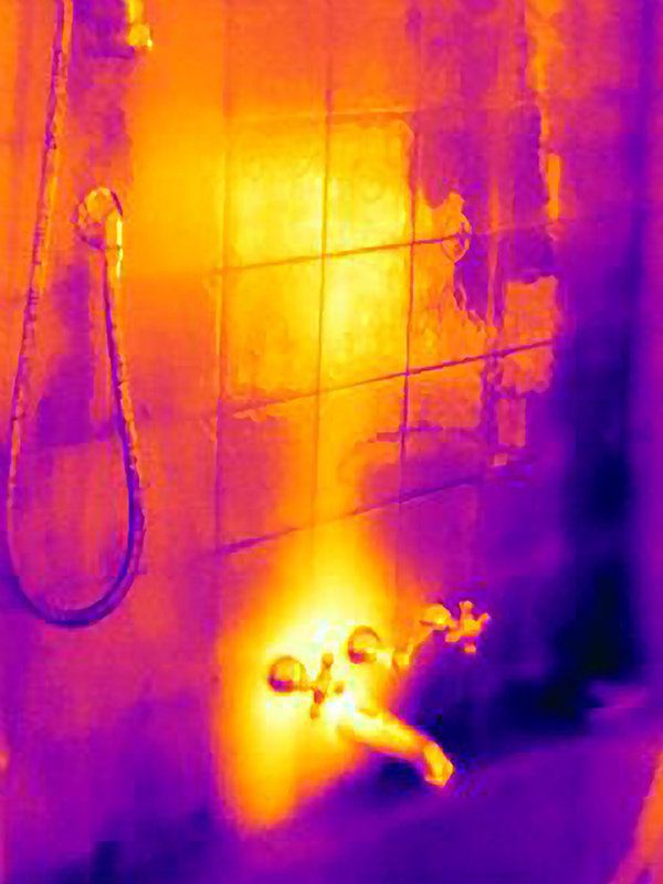 Infrared leak detection in the home
