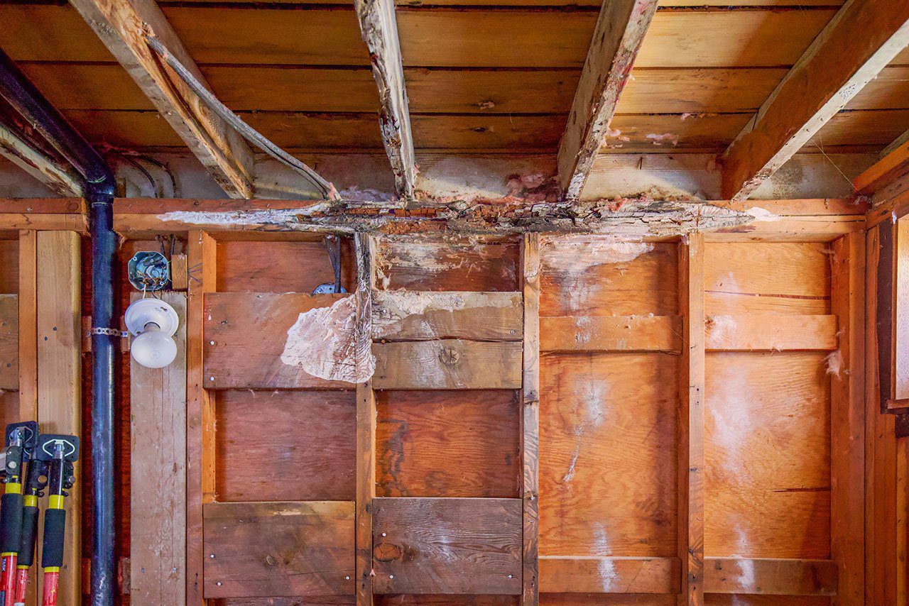 Exposed wooden wall and ceiling structure showing rot and moisture damage.