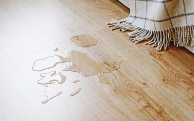 Is It a Leak or Just Humidity? How to Identify the Difference