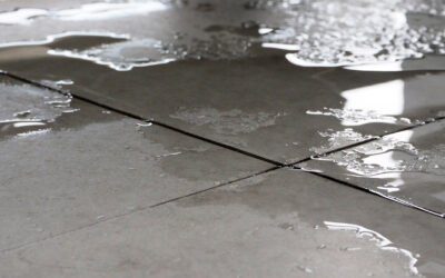 Spot the Signs of Slab Leaks Before They Ruin Your Property