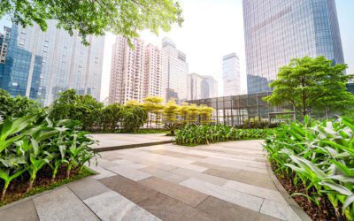 Designing Leak-Resistant Landscaping: Smarter Choices for Businesses