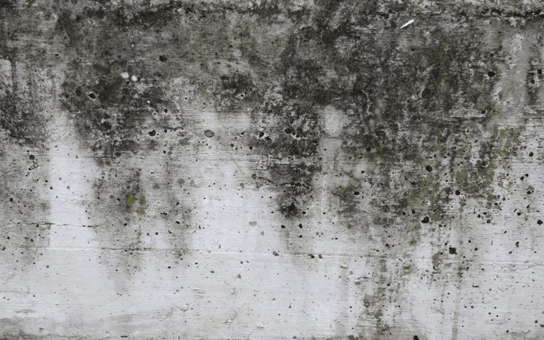 Leak Detection Solution for Residential Mould Treatment