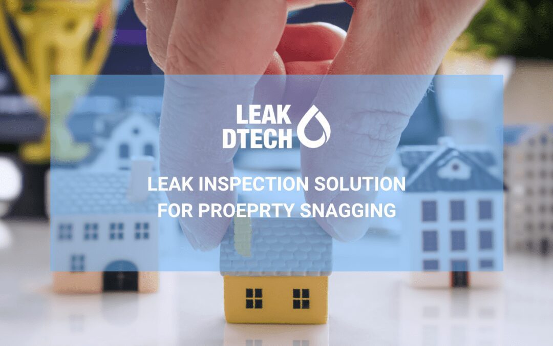 Leak Detection Solution for Property Snagging