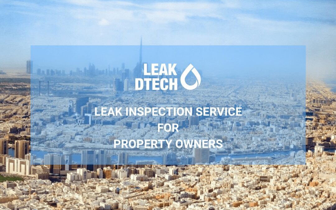 Leak Inspection Service for Property Owners