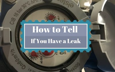 Do I Have a Water Leak?