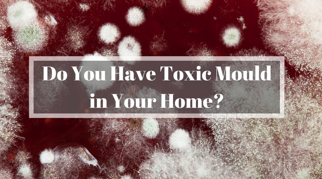 toxic mould leakdtech dubai
