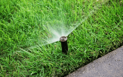 How to Find Irrigation Leaks