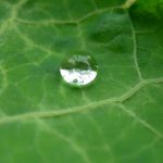 Fix a Leak Week 2020