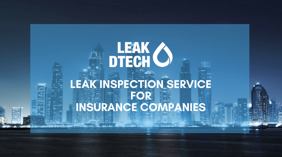 Leak Inspection Service for Insurance Companies