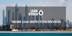 Drone Water Leak Inspection Services