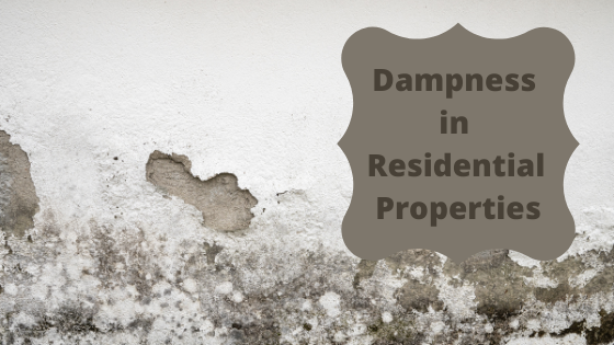 Dampness in residential properties