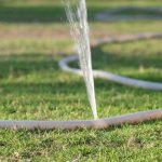 Saving Water Outside the Home