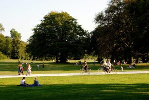 Public Park Leaks