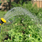 Understanding Grey Water Systems