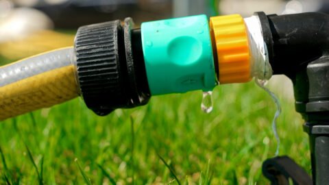 A Guide to Preventing and Fixing Garden Tap Leaks