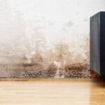 Navigating Neighbour Water Damage in Dubai