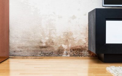Navigating Neighbour Water Damage in Dubai