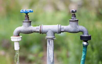 Landscaping and Water Leaks: How to Identify and Repair Outdoor Leaks