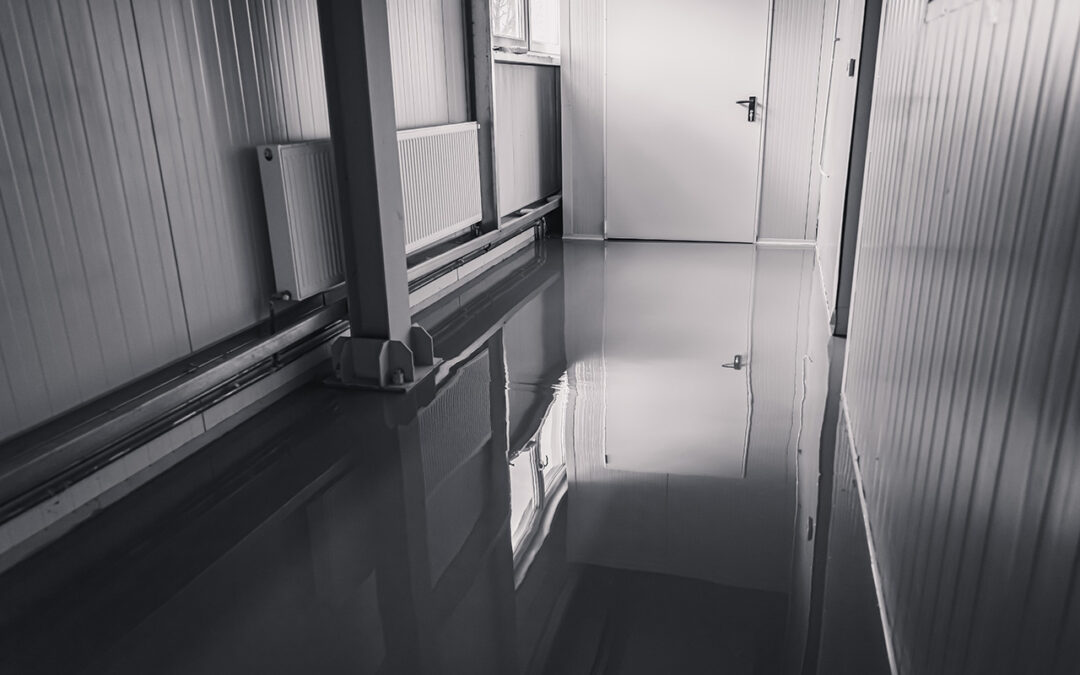 Emergency Preparedness: What to Do When a Major Water Leak Occurs