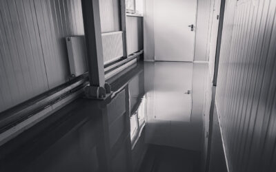Emergency Preparedness: What to Do When a Major Water Leak Occurs