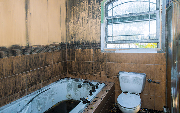 Common Leak Detection Myths reviewed