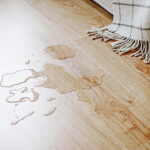 Is It a Leak or Just Humidity? How to Identify the Difference