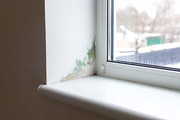 Is it a leak or just humidity causing the mould?