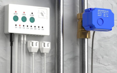 How Do Leak Detection Systems Work?