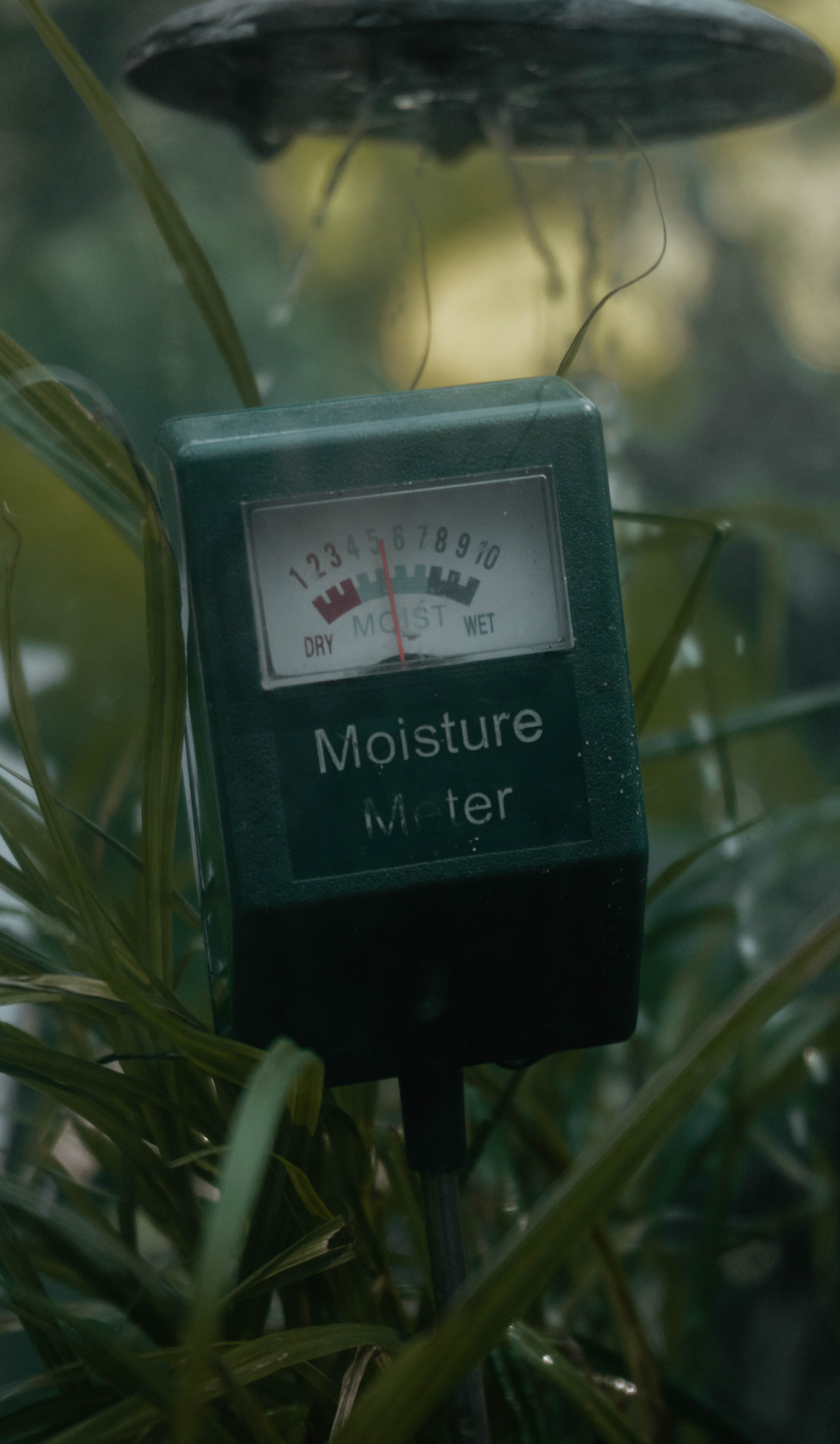 Dubai residential house exterior with palm tree, professional water leak detection services for homes