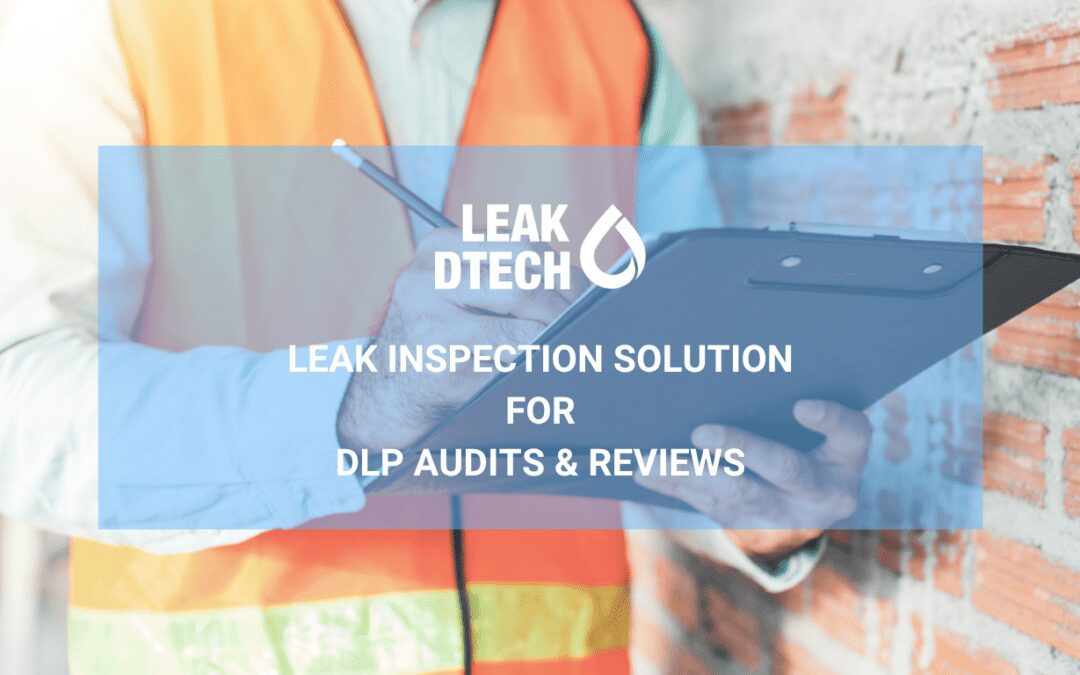 Leak Detection Solution for DLP Audits and Reviews
