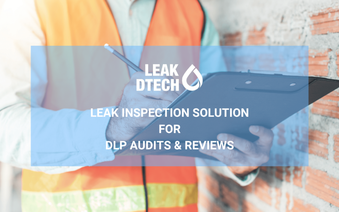 Leak Detection Solution for DLP Audits and Reviews