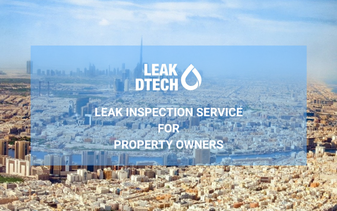 Leak Inspection Service for Property Owners