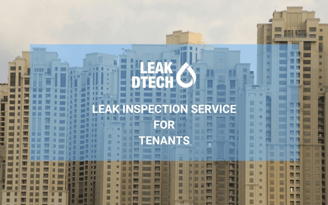 Leak Inspection Service for Tenants