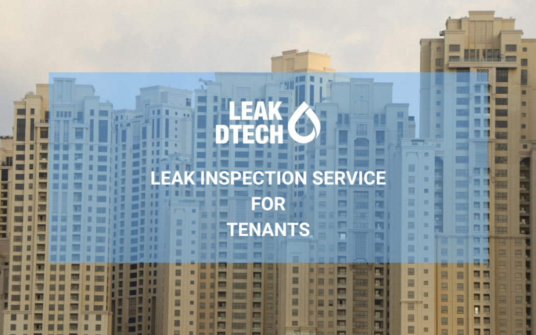 Leak Inspection Service for Tenants