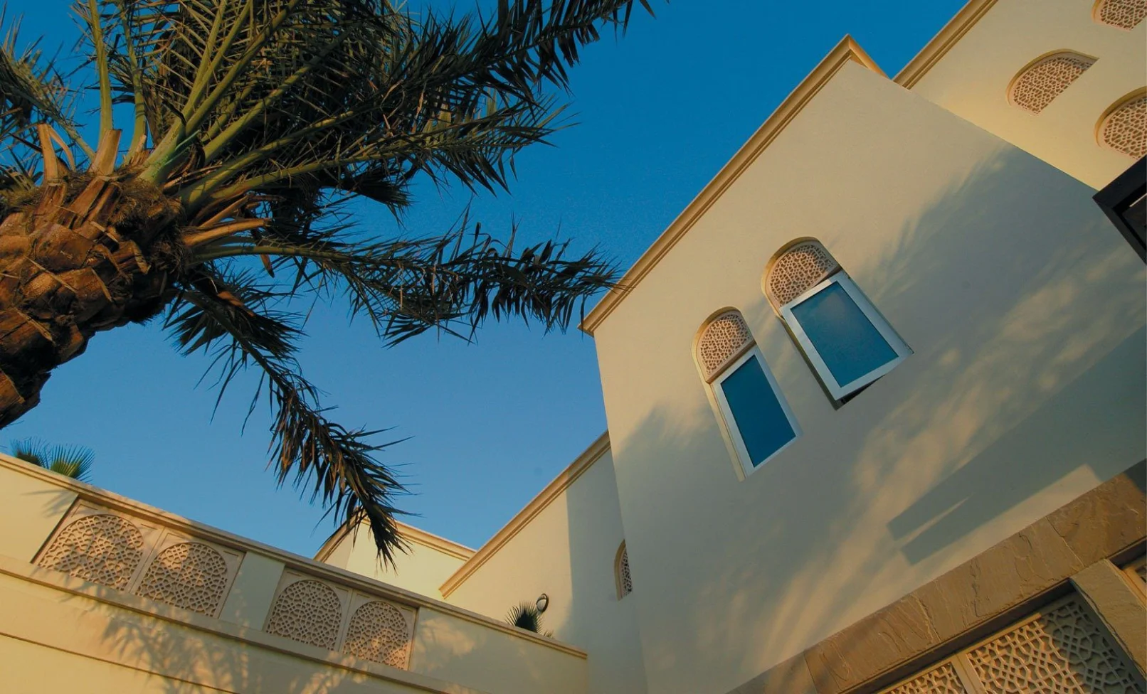Dubai residential house exterior with palm tree, professional water leak detection services for homes